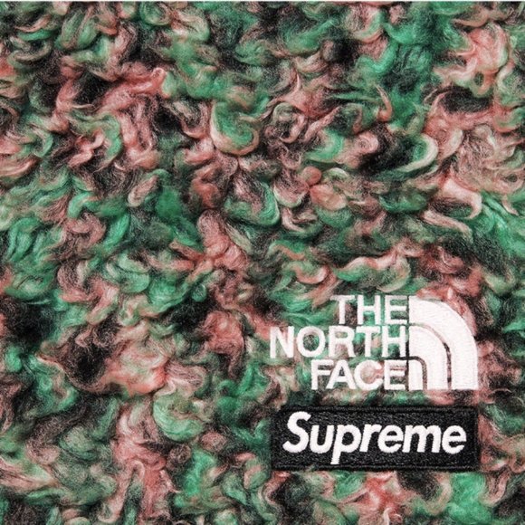 SUPREME®/THE NORTH FACE® HIGH PILE FLEECE SHORT - Picture 2 of 2